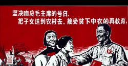 图片大小限制测试